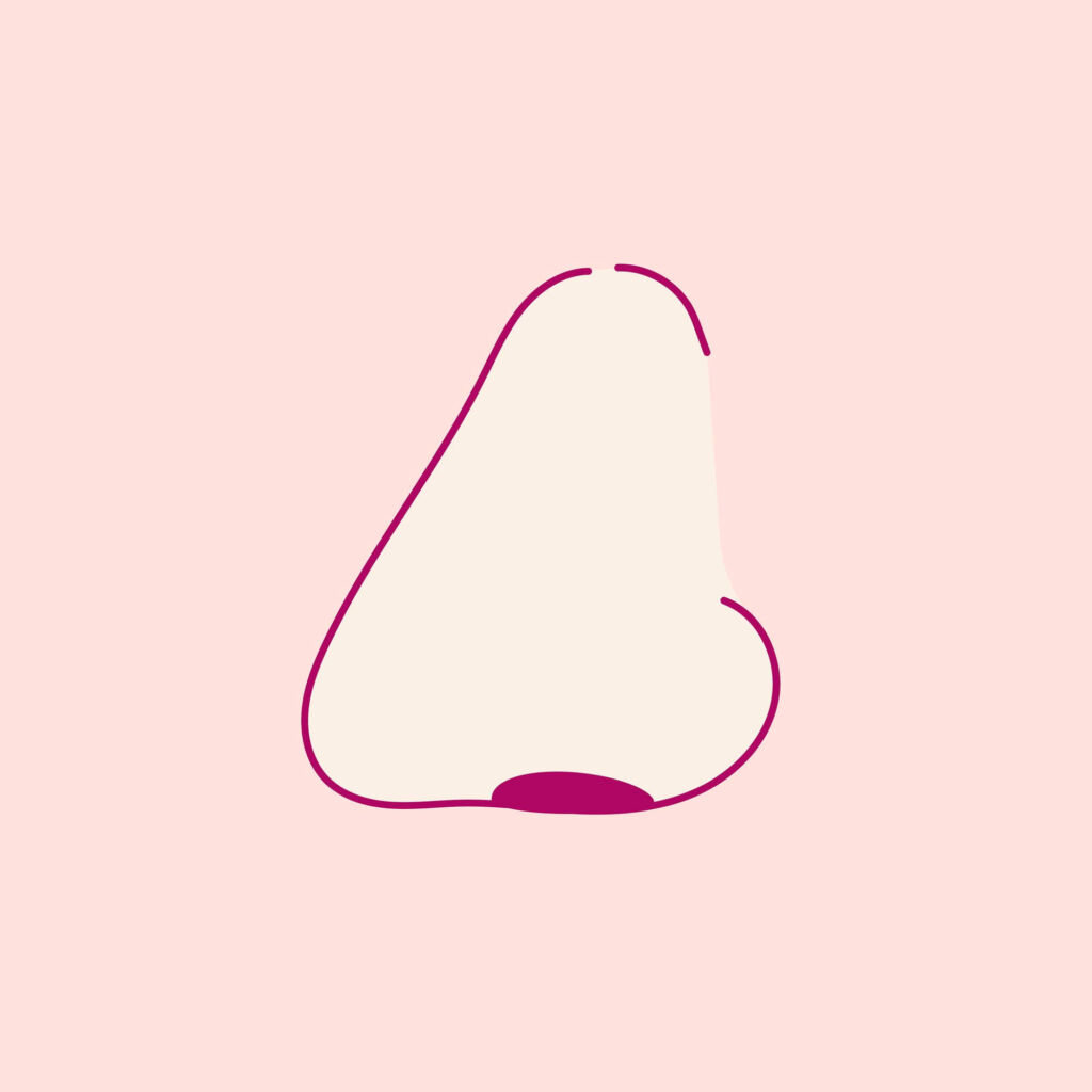 stupsnase (wunschform)